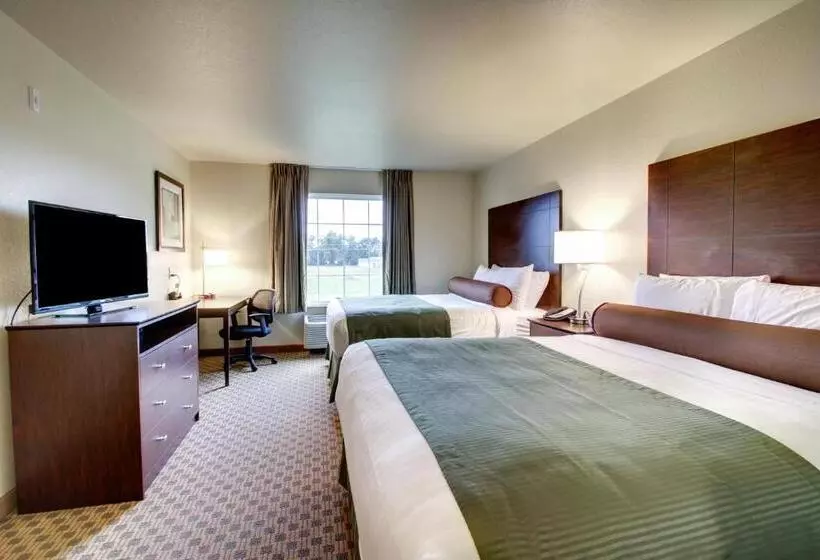 スタンダードルーム, Cobblestone Inn & Suites   Schuyler