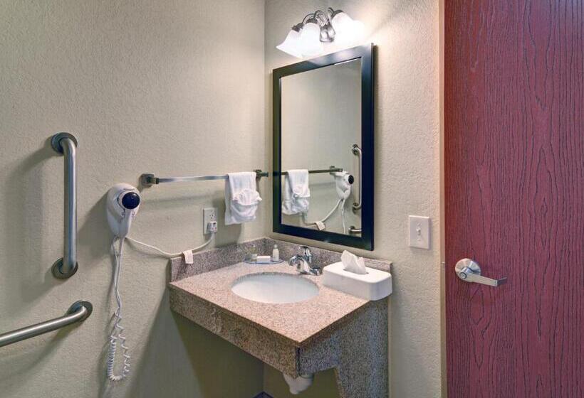 장애인을 위한 킹사이즈 침대 스탠다드 룸, Cobblestone Inn & Suites   Schuyler