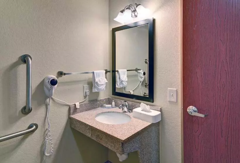 身障者適用キングサイズベッドルーム, Cobblestone Inn & Suites   Schuyler