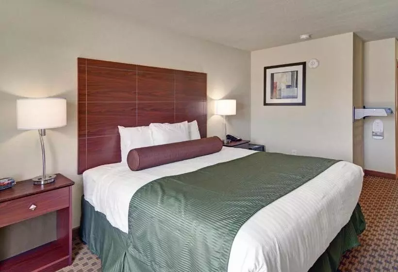 身障者適用キングサイズベッドルーム, Cobblestone Inn & Suites   Schuyler