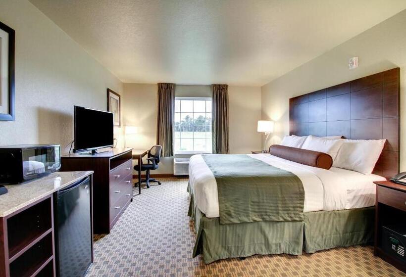 Номер Стандарт Кровать Кинг Адаптированный для Инвалидов, Cobblestone Inn & Suites   Schuyler