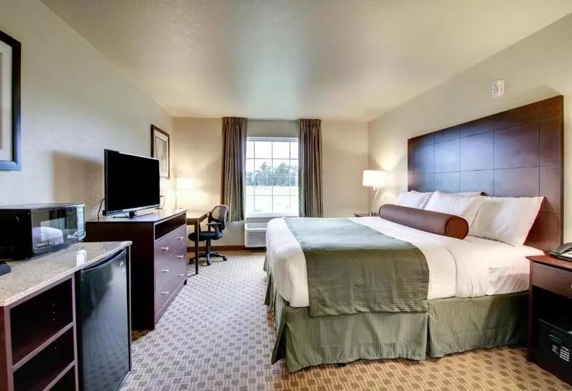 身障者適用キングサイズベッドルーム, Cobblestone Inn & Suites   Schuyler