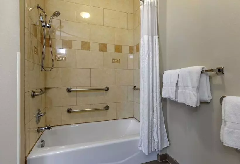 スタンダードルーム, Comfort Inn & Suites, White Settlement Fort Worth West, Tx