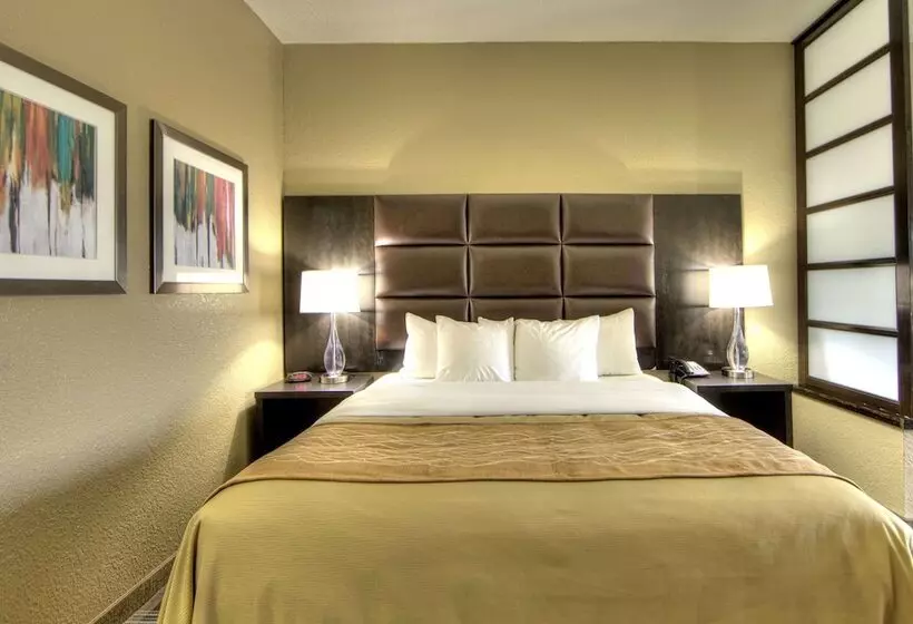 スタンダードルーム, Comfort Inn & Suites, White Settlement Fort Worth West, Tx