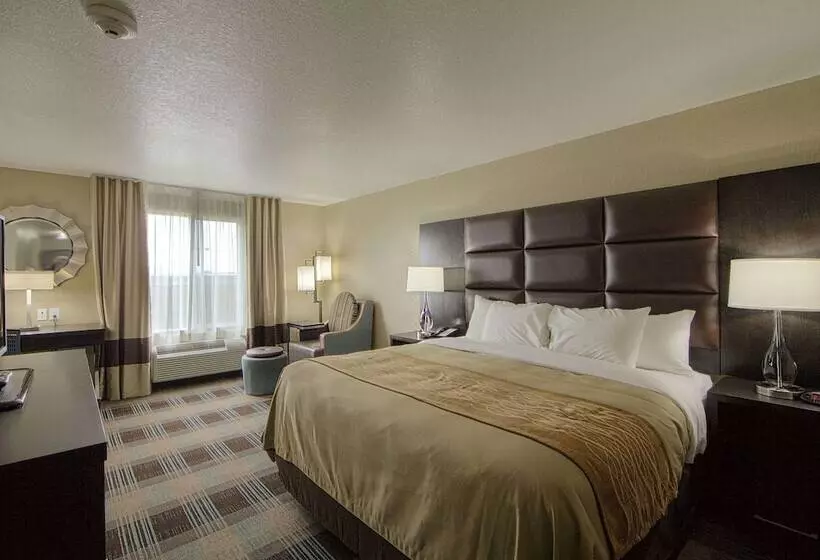 スタンダードルーム, Comfort Inn & Suites, White Settlement Fort Worth West, Tx