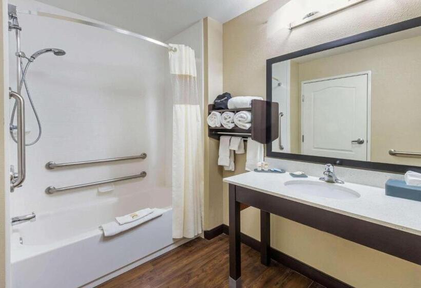 غرفة قياسية سرير كينج, La Quinta By Wyndham Artesia