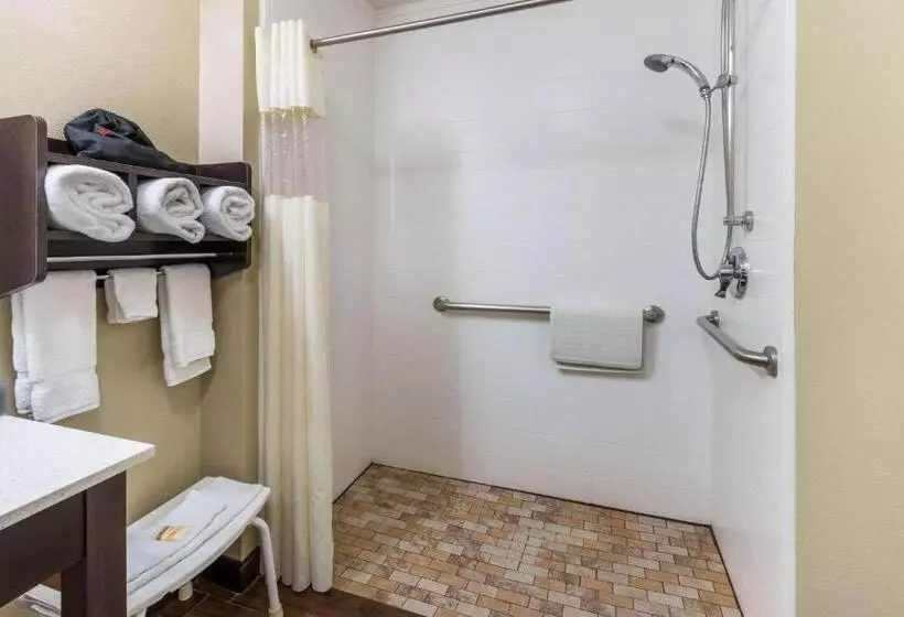 身障者適用キングサイズベッドルーム, La Quinta By Wyndham Artesia