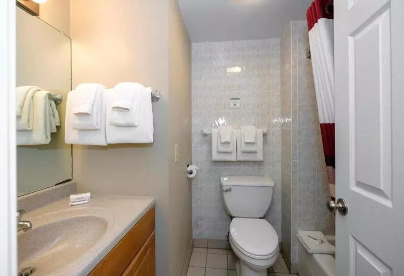 デラックスルーム, Red Roof Inn And Suites Herkimer