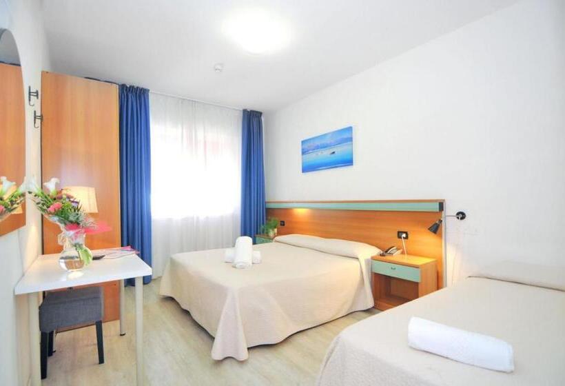 トリプルクラシックルーム, Rex