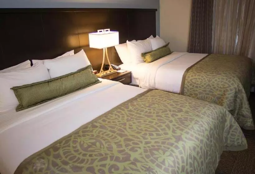 クイーンサイズベッドのスイートルーム, Staybridge Suites Lexington, An Ihg