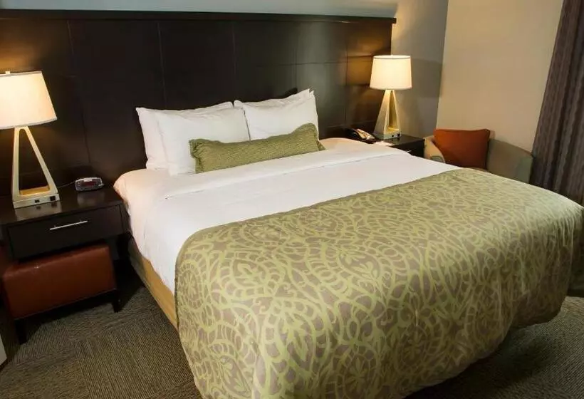 スイート, Staybridge Suites Lexington, An Ihg