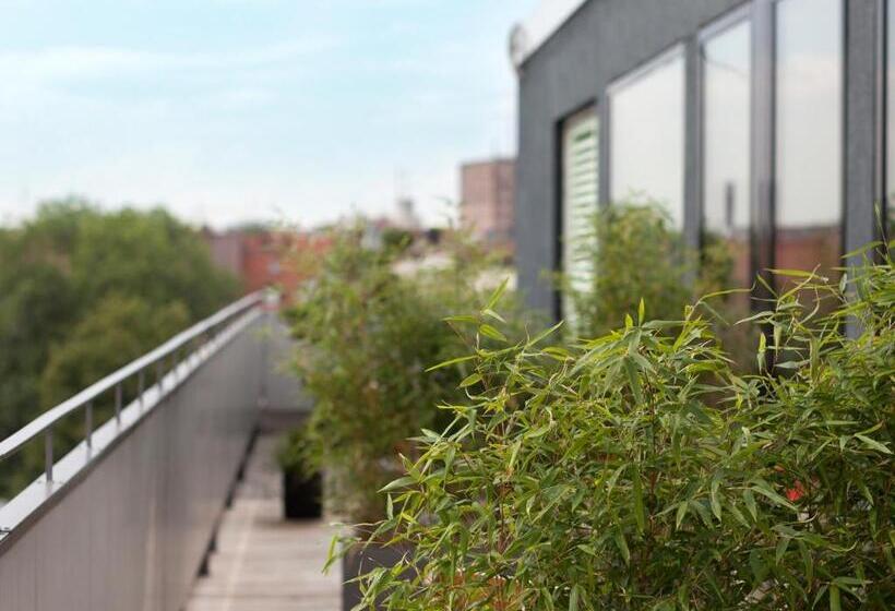 غرفة دور أخير, The Flushing Meadows