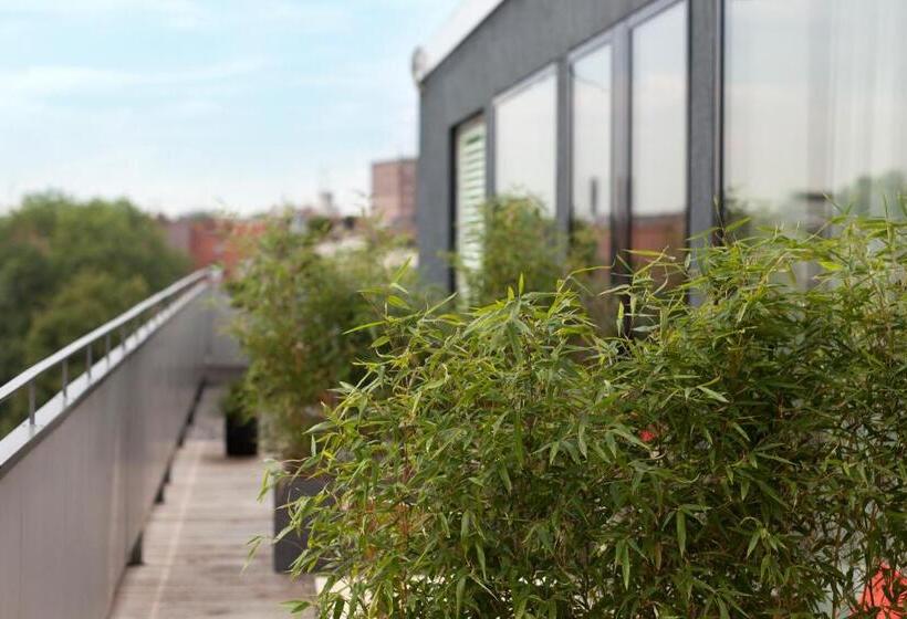 غرفة قياسية فردية, The Flushing Meadows