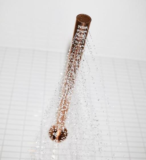 غرفة قياسية فردية, The Flushing Meadows