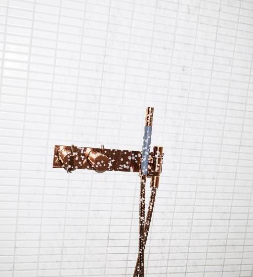 غرفة قياسية, The Flushing Meadows