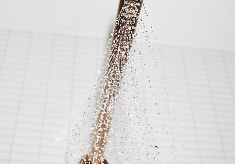 غرفة قياسية فردية, The Flushing Meadows