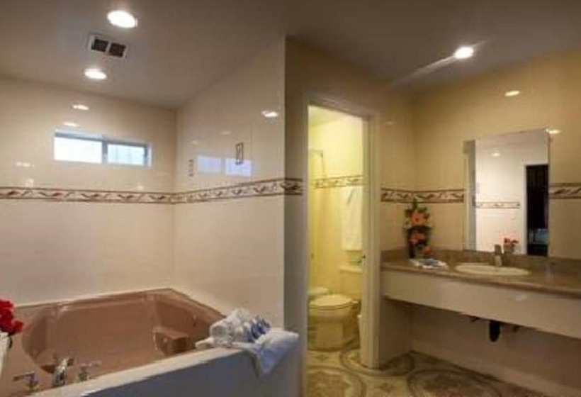 标准间带双人床, The Palace Inn