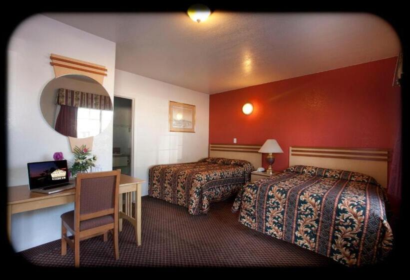 带2个双人床的标准工作室, The Palace Inn