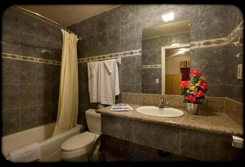 اتاق استاندارد با 2 تخت دوبل, The Palace Inn