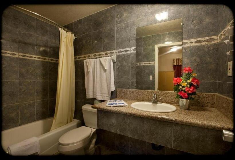 豪华房间带漩涡浴缸, The Palace Inn