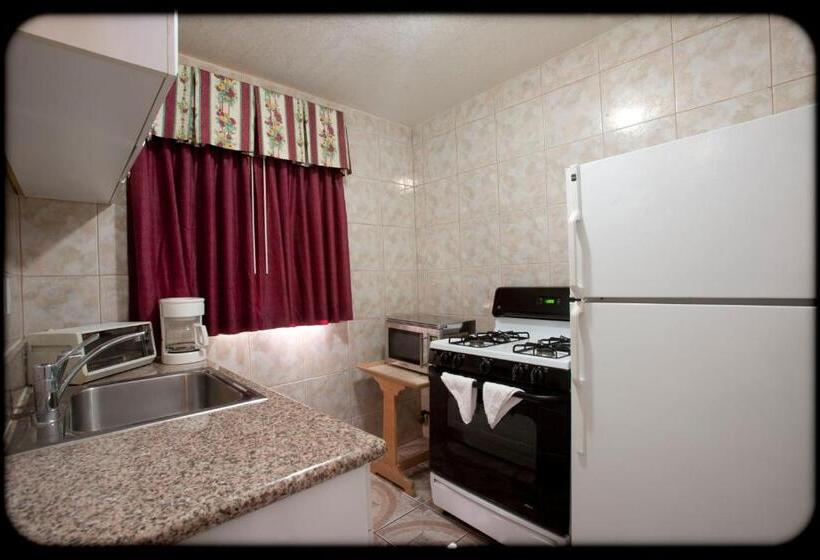 豪华房间, The Palace Inn