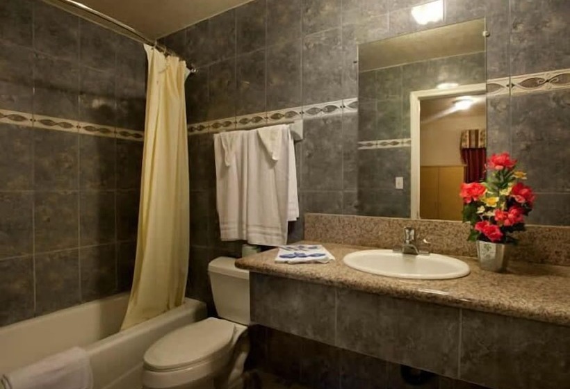 Quarto Estandar Cama Casal, The Palace Inn