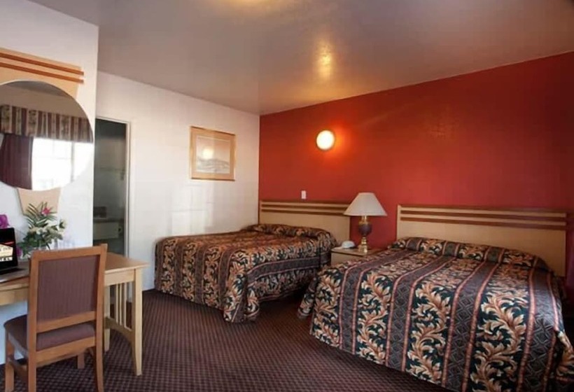 带2个双人床的标准工作室, The Palace Inn