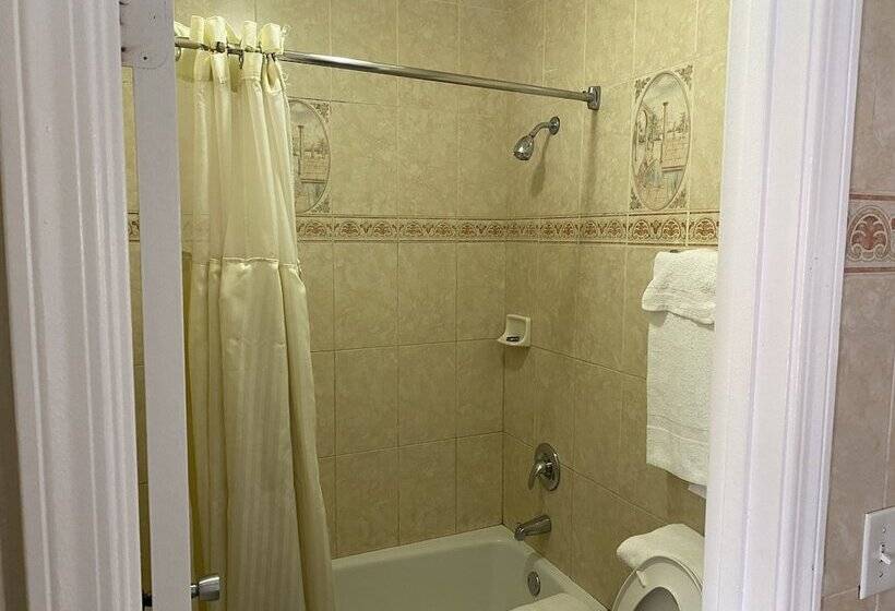 标准间带双人床, The Palace Inn