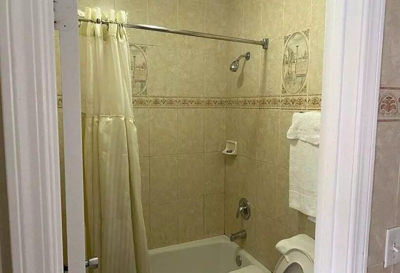 اتاق استاندارد با تخت دوبل, The Palace Inn