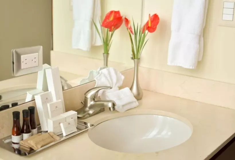سوییت اجرایی, Adriatika Hotel & Residence