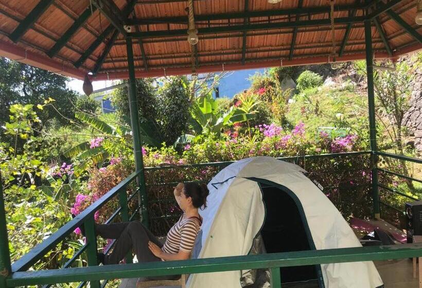 Standard Tent, Green Valley Vista