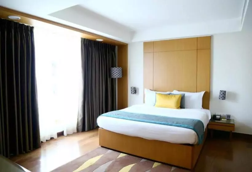 سوییت اجرایی, Lemon Tree Hotel, Dehradun