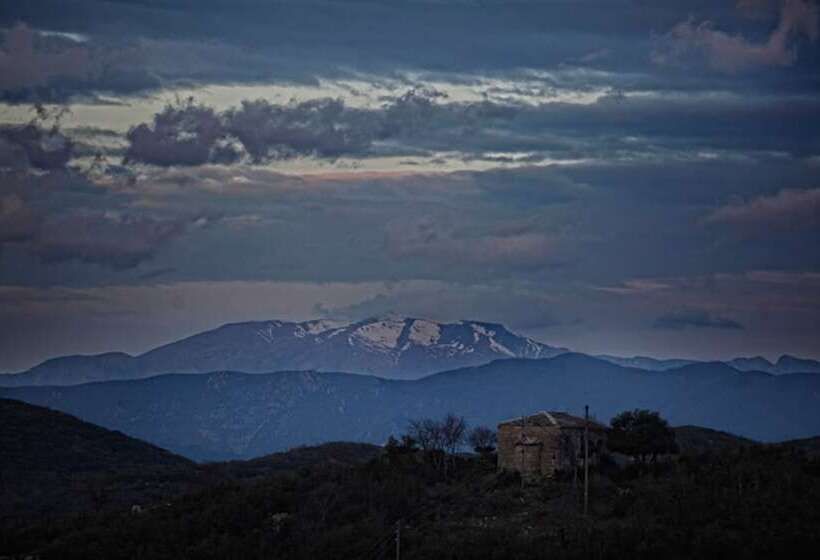 高级套房, Pirrion Wellness Boutique