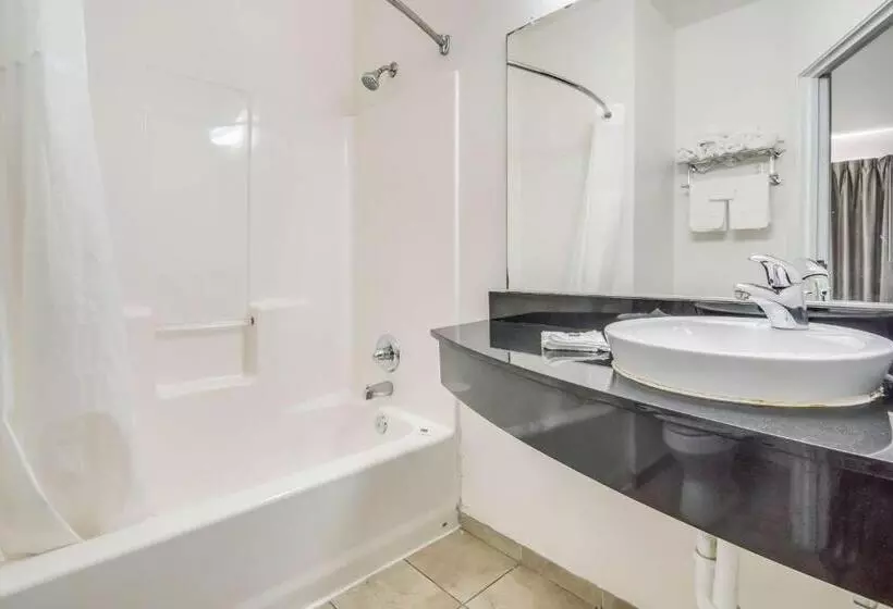 身障者適用スタンダードルーム, Motel 6cleburne, Tx