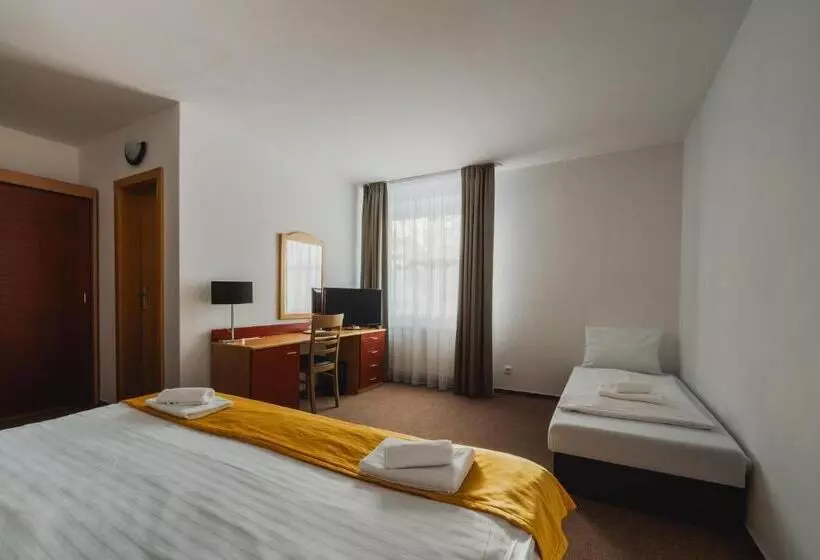 Standard-huone, Vila Horec   Depandance Hotela Hubert Vital Resort