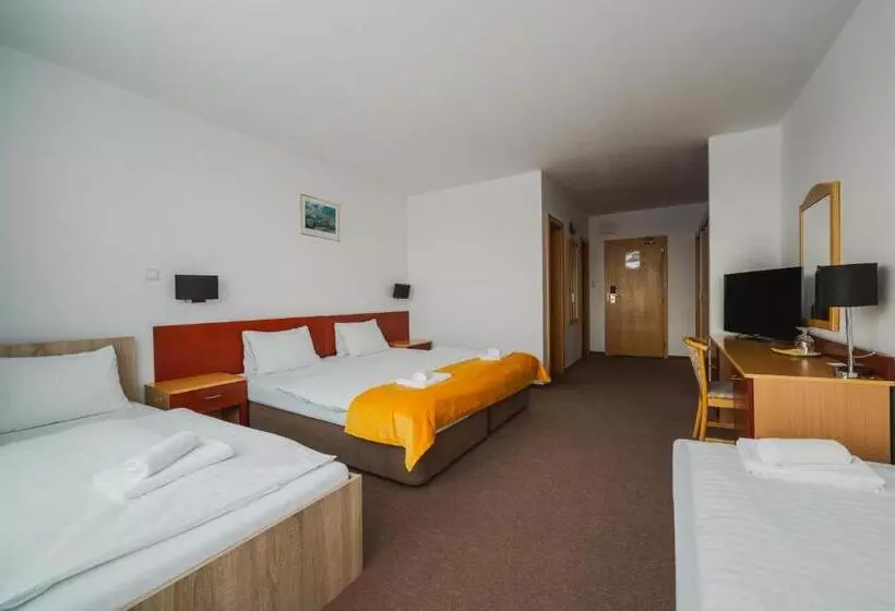 Standard-huone, Vila Horec   Depandance Hotela Hubert Vital Resort