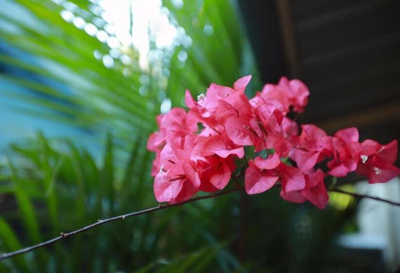 스탠다드 룸, Honolulu Home
