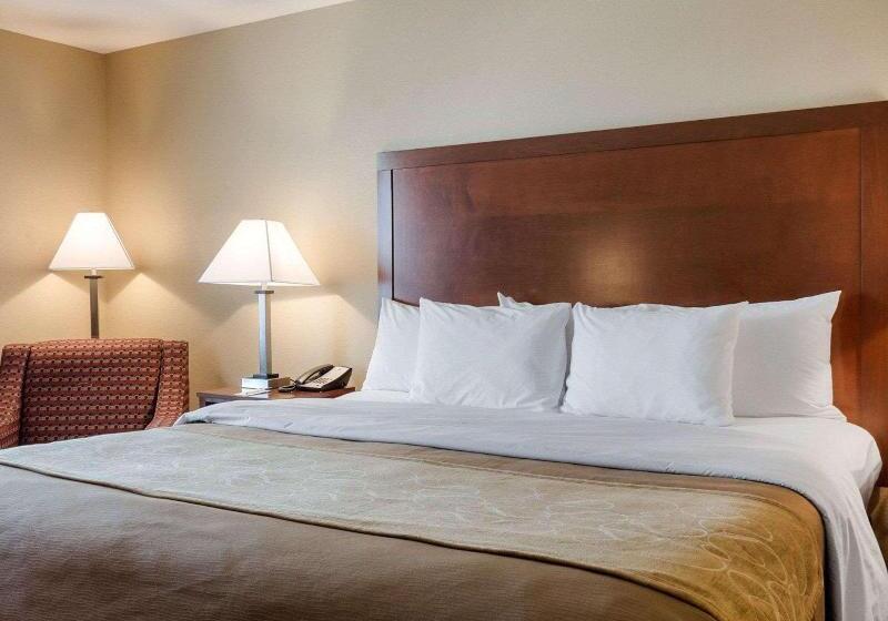 غرفة قياسية سرير كينج لذوى الإحتياجات الخاصة, Comfort Inn & Suites