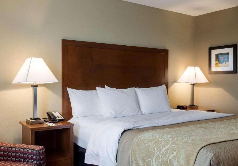 غرفة قياسية سرير كينج لذوى الإحتياجات الخاصة, Comfort Inn & Suites