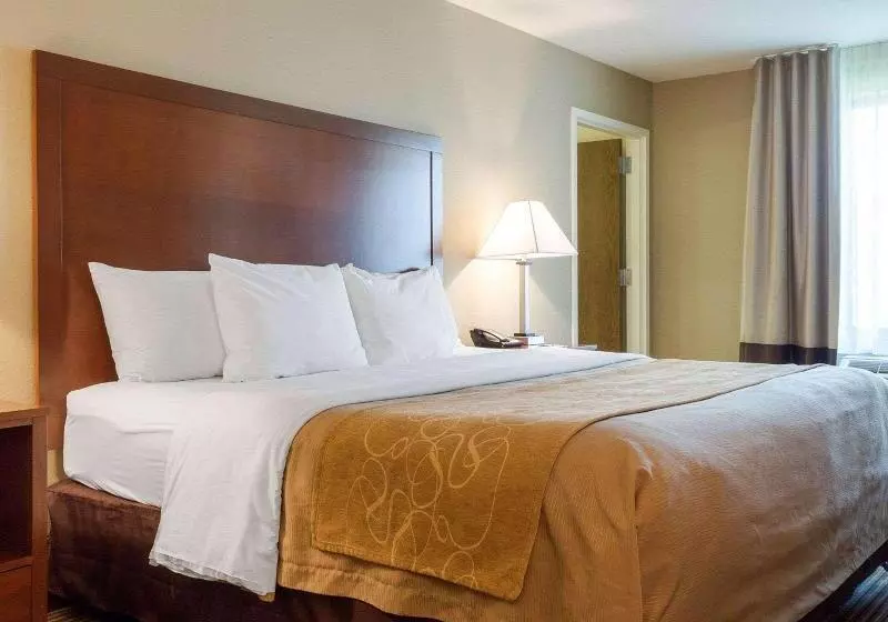 Sviitti Liikuntarajoitteisille, Comfort Inn & Suites
