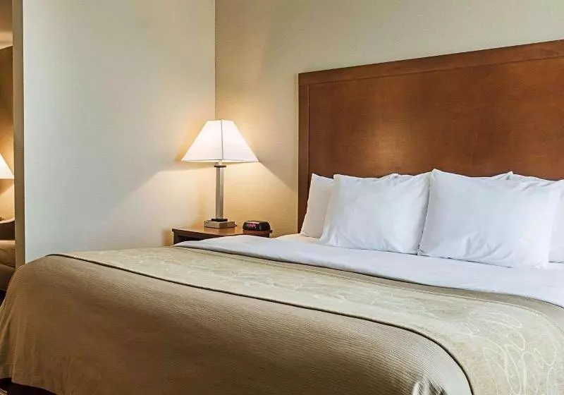 Sviitti King-vuode, Comfort Inn & Suites