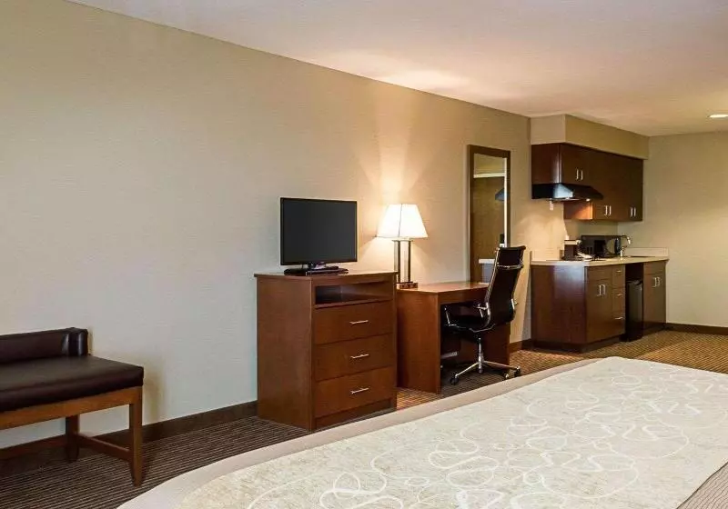 Sviitti King-vuode, Comfort Inn & Suites