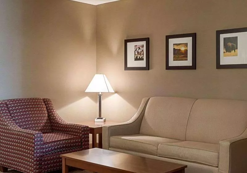 Sviitti King-vuode, Comfort Inn & Suites