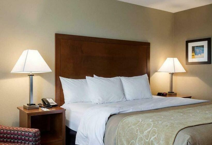 חדר סטנדרט עם מיטת קינג, Comfort Inn & Suites
