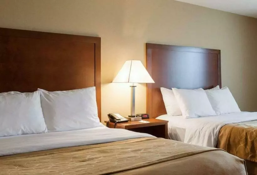 Standard-huone, Comfort Inn & Suites