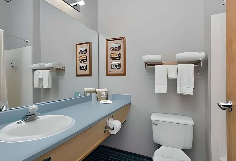 غرفة قياسية سرير مزدوج, Econo Lodge Inn & Suites