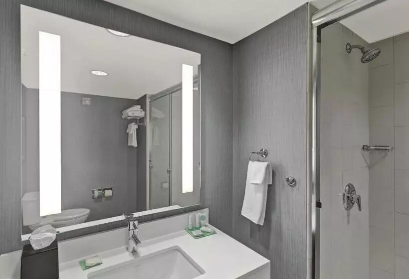 キングサイズベッドのスタンダードルーム, Hyatt Place Champaign/urbana