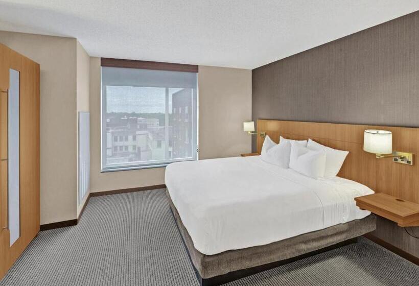 キングサイズベッドのスタンダードルーム, Hyatt Place Champaign/urbana