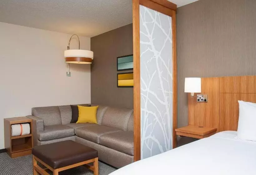 キングサイズベッドのスイートルーム, Hyatt Place Champaign/urbana