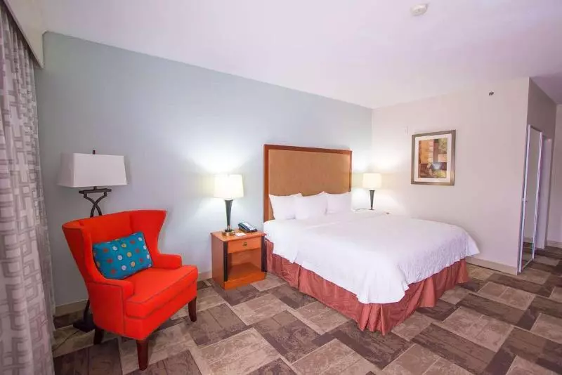 身障者適用キングサイズベッドルーム, Hyatt Place Houston/the Woodlands